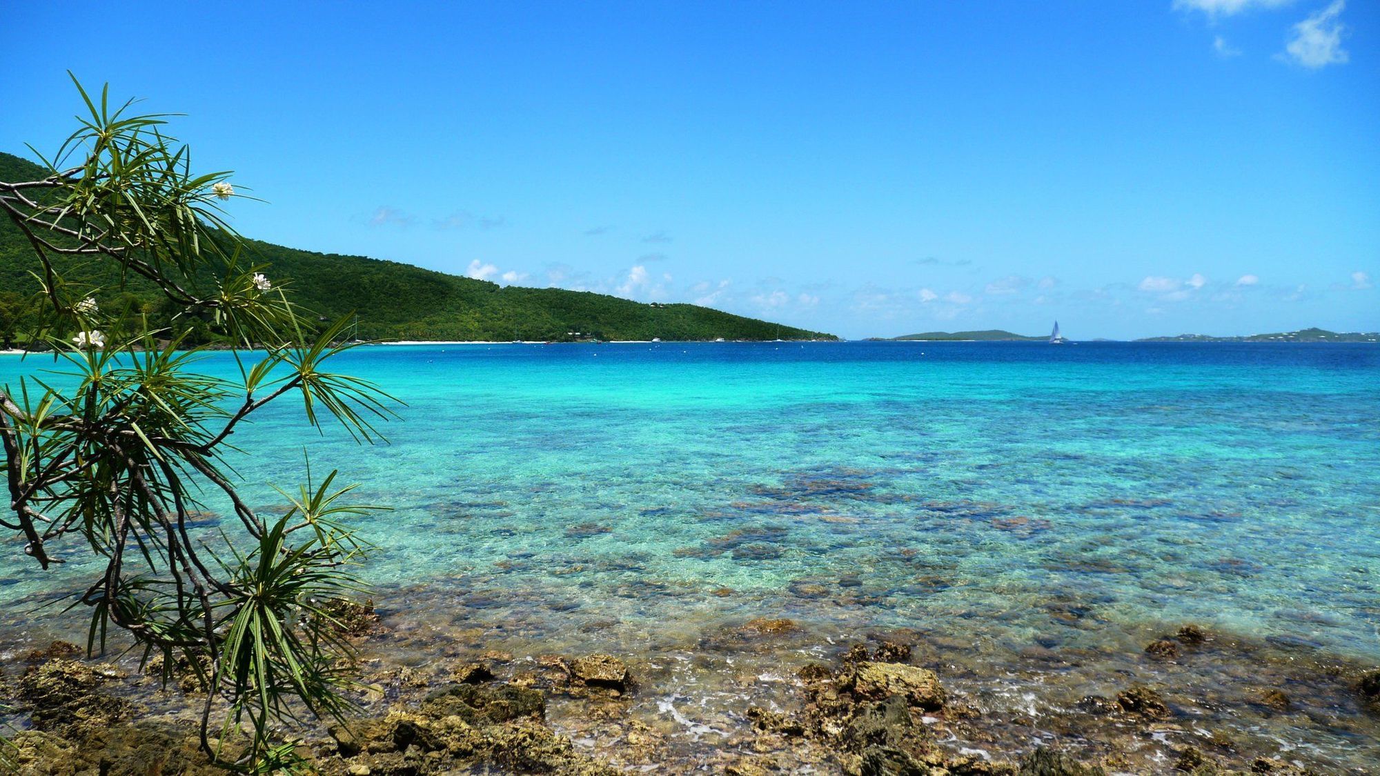 Caneel Bay Resort Cruz Bay 시설 사진