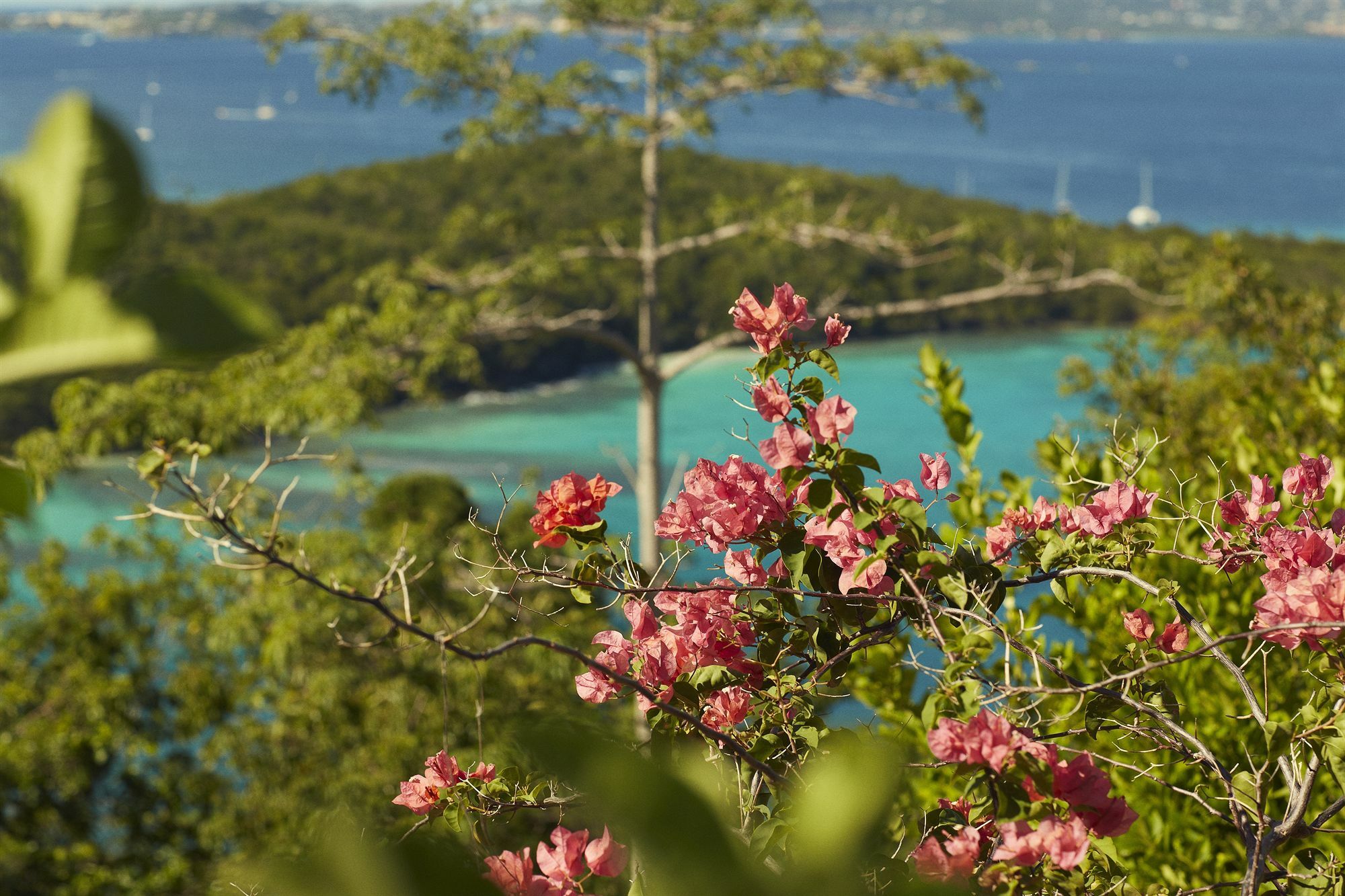 Caneel Bay Resort Cruz Bay 외부 사진